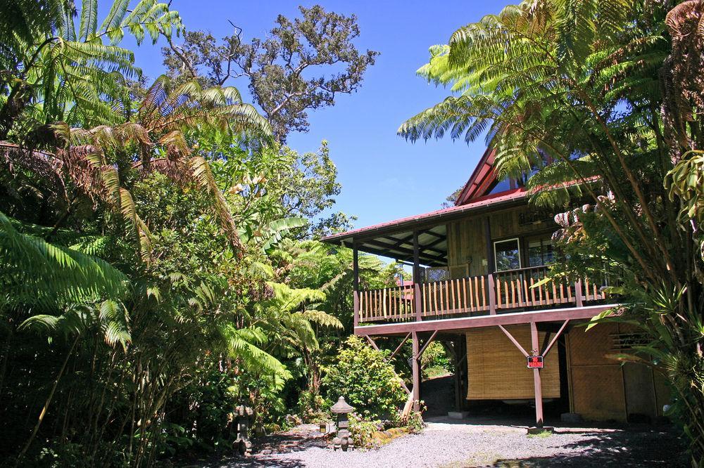 Bed & Breakfast Lotus Garden 3*