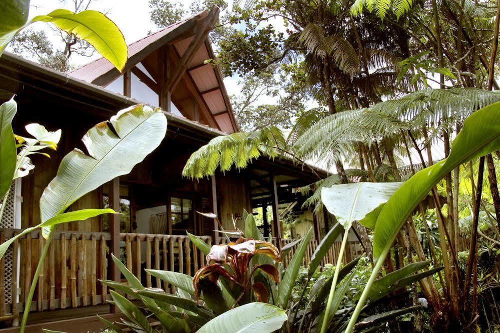 Lotus Garden 3* Volcano